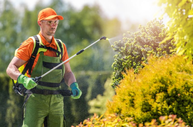 Clearing Kudzu Infestation